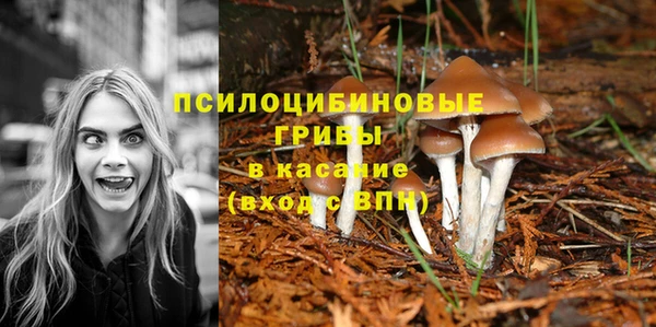 ALPHA PVP Покровск